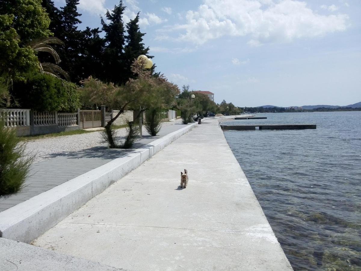Apartments Franica Zadar Extérieur photo
